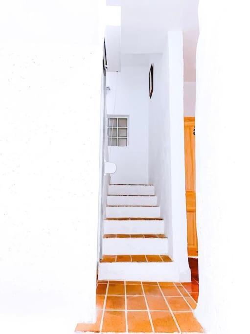 Casa Veronica 6 , 1 Dormitorio アロナ エクステリア 写真